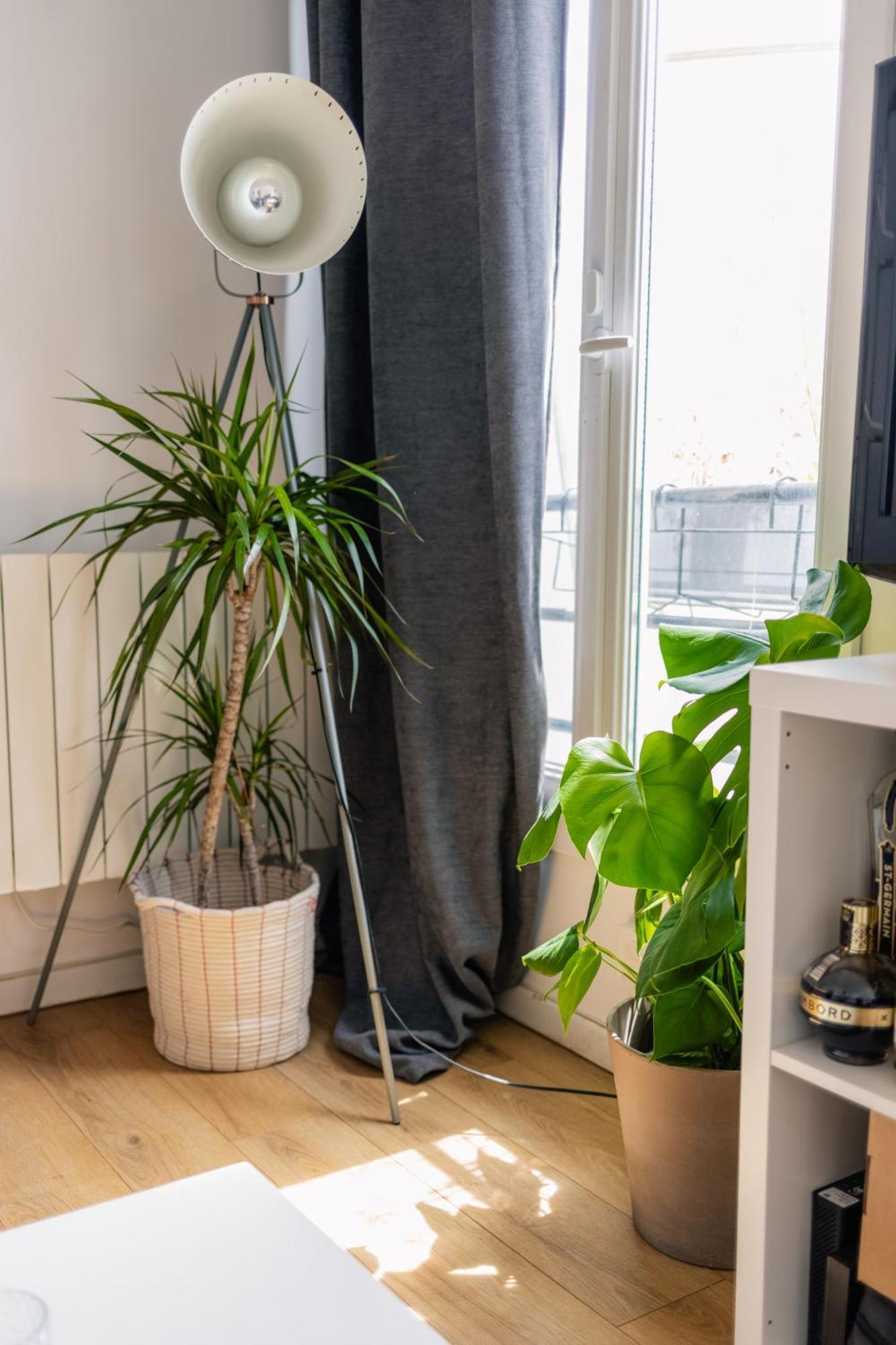 Cedric Lovely Loft Paris