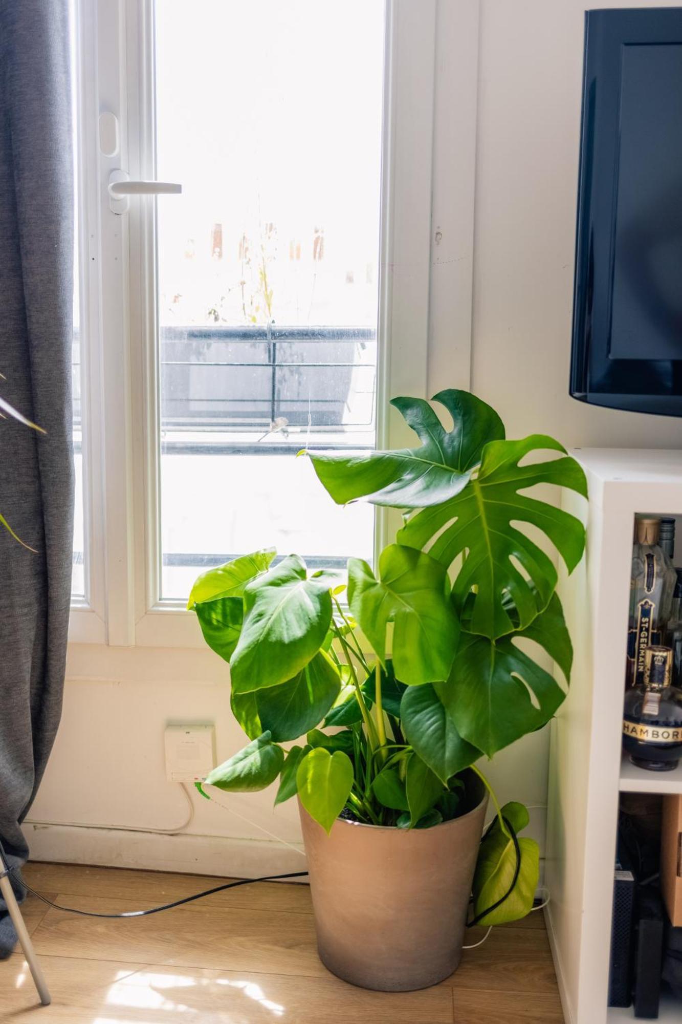 Cedric Lovely Loft Apartment *